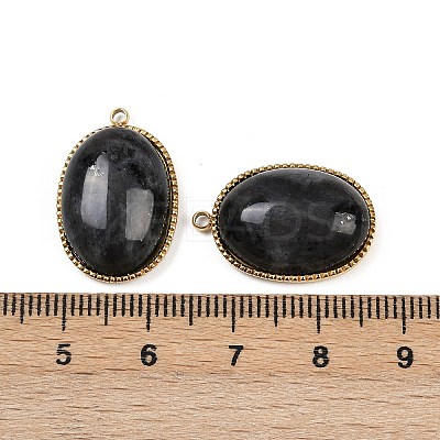 Natural Labradorite Pendants STAS-F322-15G-06-1