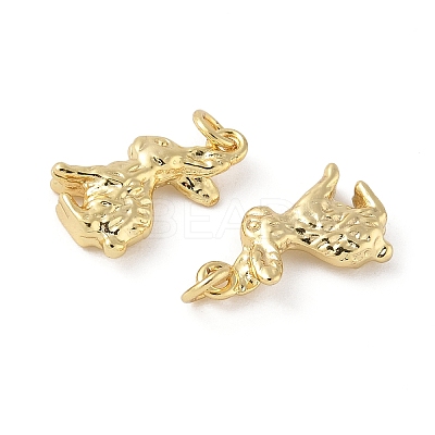 Brass Pendants KK-L245-03G-01-1