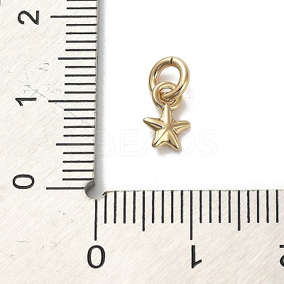 Golden Brass Charms KK-H493-01G-09-1