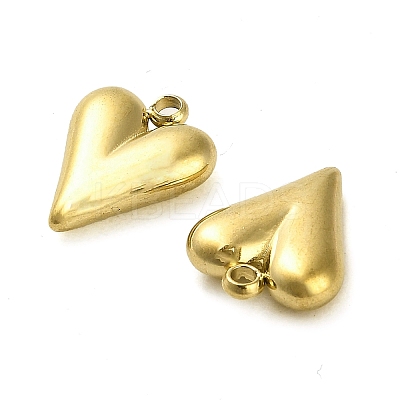 304 Stainless Steel Pendants STAS-L022-108G-07-1