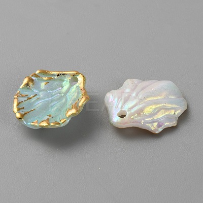 Opaque Acrylic Pendants RESI-TAC0020-04F-1
