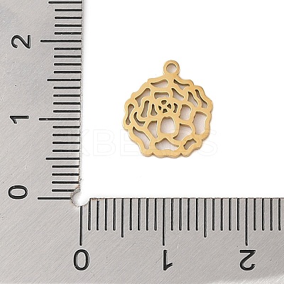 304 Stainless Steel Pendants STAS-S139-06G-05-1