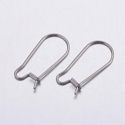 Tarnish Resistant 316 Surgical Stainless Steel Hoop Earrings Settings STAS-K146-040-20x10mm-1