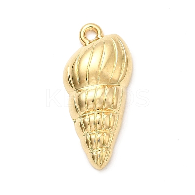 304 Stainless Steel Pendants STAS-B103-02E-G-1