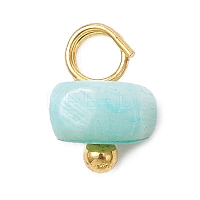 Dyed Natural Freshwater Shell Nuggets Charms PALLOY-JF05032-01-1
