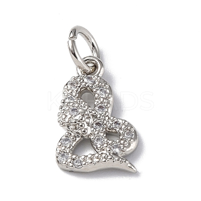Brass Micro Pave Cubic Zirconia Charms ZIRC-F131-19P-1
