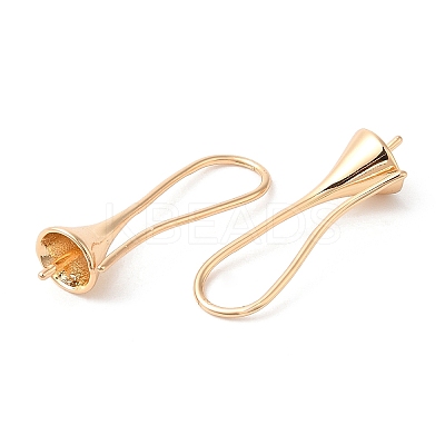 Brass Earring Hooks KK-Q770-10G-1