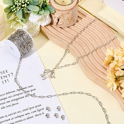 DIY 304 Stainless Steel Paperclip Chains Necklaces/Bracelets Making Kits DIY-SC0029-32-1