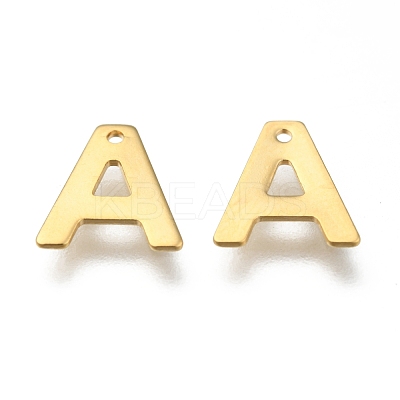304 Stainless Steel Charms STAS-P141-A-1