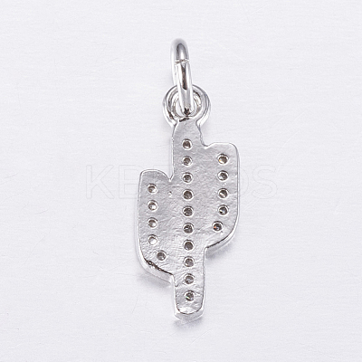 Brass Micro Pave Cubic Zirconia Charms ZIRC-E135-34P-1