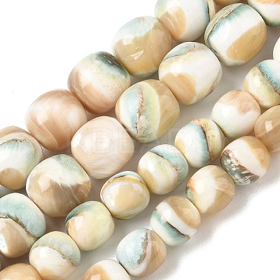 Natural Seashell Shell Beads Strands SH-CBAFEDD-01A-1