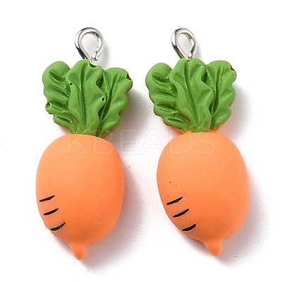 Resin Pendants X-RESI-C002-31-1