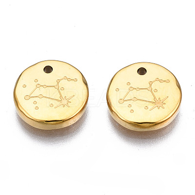 316 Surgical Stainless Steel Charms STAS-S116-418H-G-1