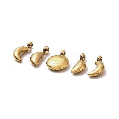 5Pcs 304 Stainless Steel Charms STAS-M017-14G-1