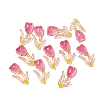 Luminous Transparent Resin Cabochons RESI-D013-05A-1