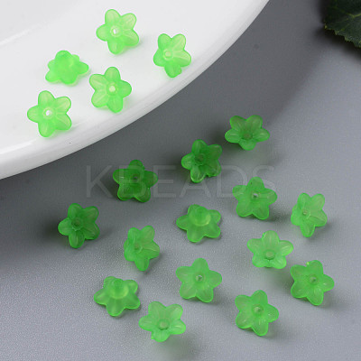 Transparent Acrylic Beads PL554-13-1