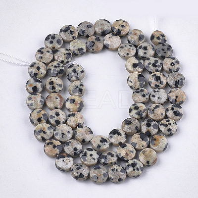 Natural Dalmatian Jasper Beads Strands G-S354-17-1
