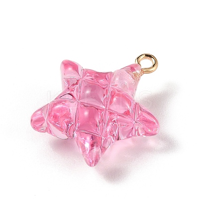 Transparent Resin Pendants LS-RESI-Z016-02D-LG-1
