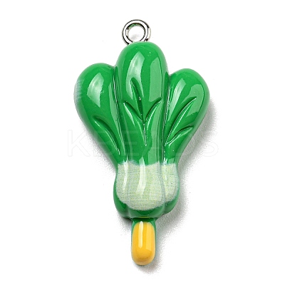 Opaque Resin Imitation Food Pendants CRES-D019-02D-1