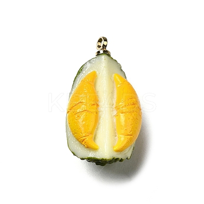 Brass Acrylic Pendants OACR-R006-03G-01-1