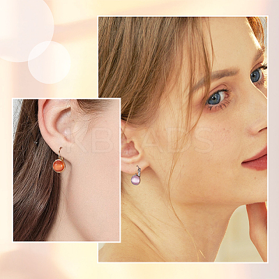 40Pcs 2 Colors 304 Stainless Steel Leverback Earring Settings STAS-BBC0003-73-1
