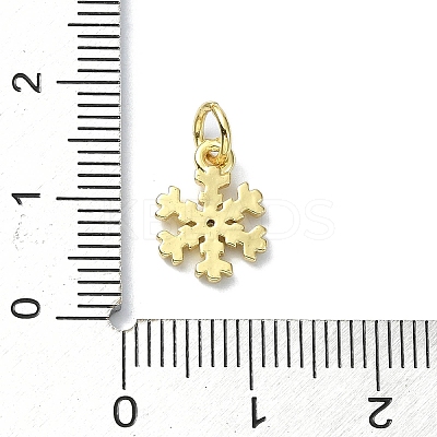 Brass Micro Pave Clear Cubic Zirconia Charms LS-KK-H475-55G-01-1
