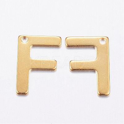 304 Stainless Steel Charms STAS-P141-F-1