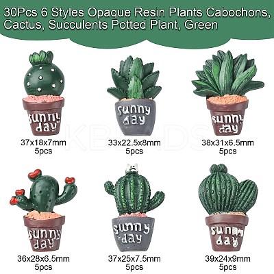 30Pcs 6 Styles Opaque Resin Plants Cabochons CRES-CJ0001-55-1