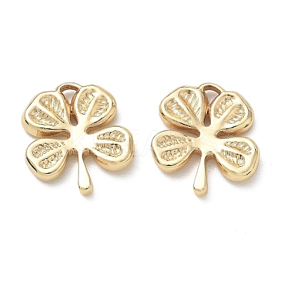 304 Stainless Steel Pendants SA-CBA3037-24G-02-1