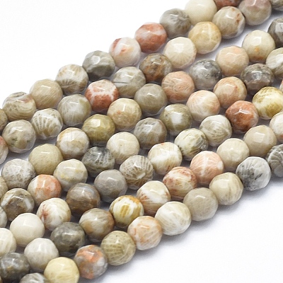 Natural Fossil Coral Beads Strands G-K256-11-4mm-1