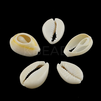 Natural Mixed Cowrie Shell Beads BSHE-S053-01-1