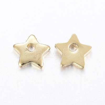 304 Stainless Steel Charms STAS-H443-11G-1