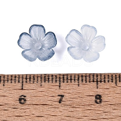 Transparent Plastic Bead Caps KY-Q005-02A-01-1