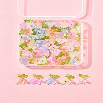 50Pcs Transparent Acrylic Pendants PALLOY-FS00043-01-1