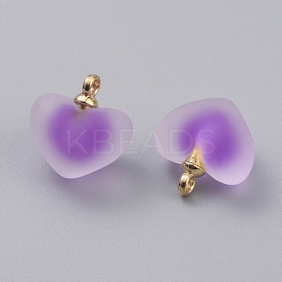 Frosted Transparent Acrylic Pendants LS-GLAA-TAC0002-B06-1