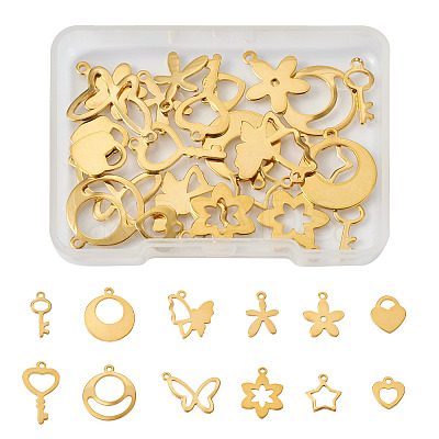 24Pcs 12 Style Stainless Steel Charms STAS-FW0001-30-1