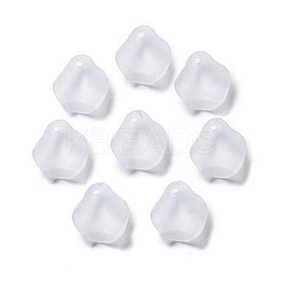 Frosted Acrylic Pendants OACR-G014-02-1