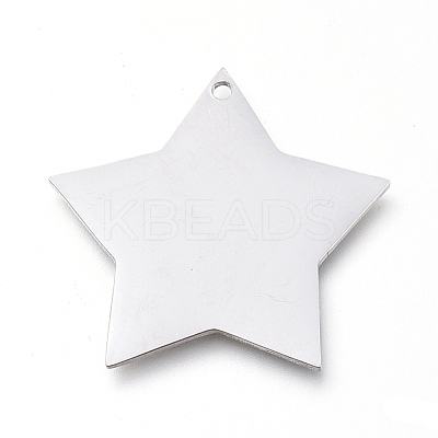Tarnish Resistant 304 Stainless Steel Pendants STAS-L238-108B-P-1
