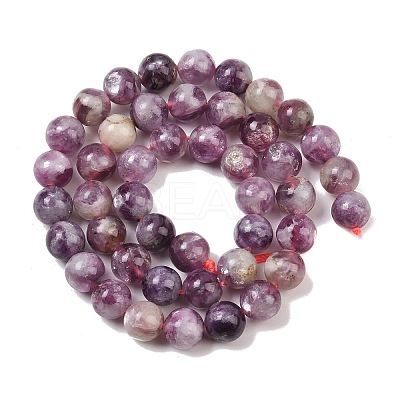 Natural Lepidolite/Purple Mica Stone Beads Strands G-G160-A01-01A-1