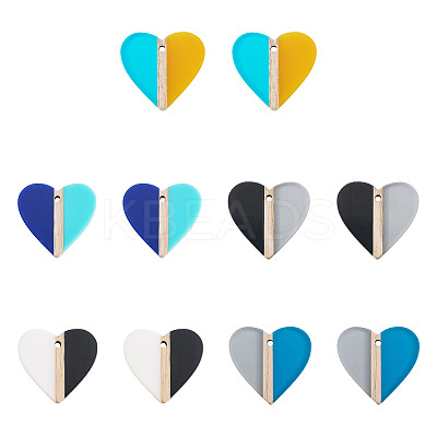 10Pcs 5 Colors Opaque & Transparent Resin & Wood Pendants RESI-TA0004-59-1