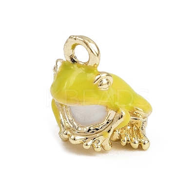 Alloy Enamel Charms X-FIND-I052-03G-04-1