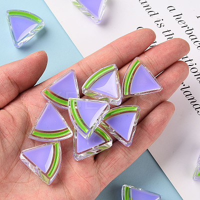 Transparent Enamel Acrylic Beads LS-TACR-S155-001J-1
