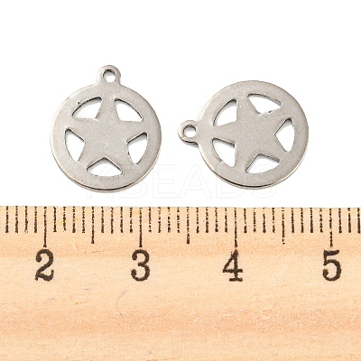 Non-Tarnish 201 Stainless Steel Charms STAS-Z049-02P-1