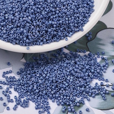 MIYUKI Delica Beads X-SEED-J020-DB2318-1