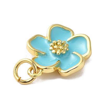 Rack Plating Brass Enamel Charms KK-O142-56G-01-1