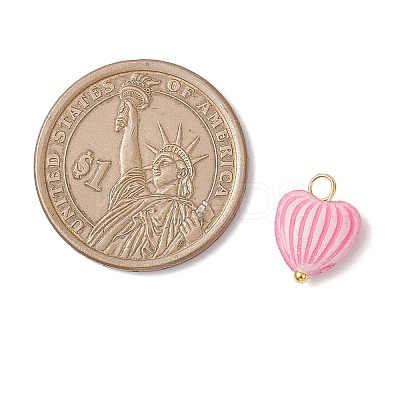 Craft Style Acrylic Pendants PALLOY-JF04253-01-1