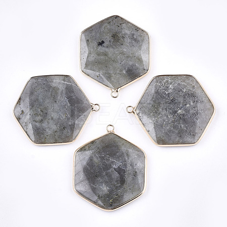 Natural Labradorite Pendants G-T112-19A-1