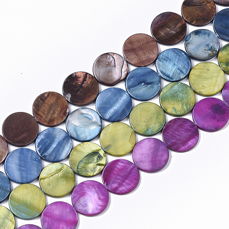 Freshwater Shell Beads Strands SHEL-T014-011-1