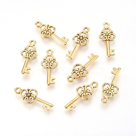 Tibetan Style Alloy Pendant GLF8363Y-1