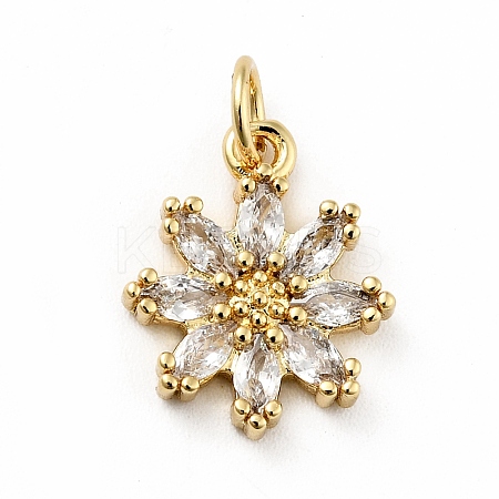 Rack Plating Brass Micro Pave Cubic Zirconia Charms ZIRC-F129-34E-G-1
